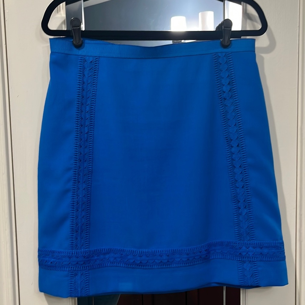 12P Ann Taylor skirt with embroidered detailing